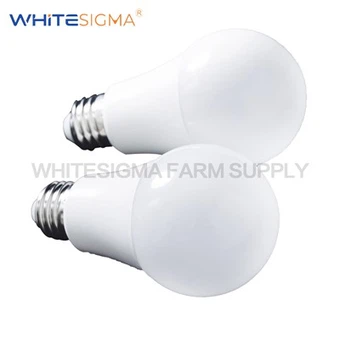 LED-lamp